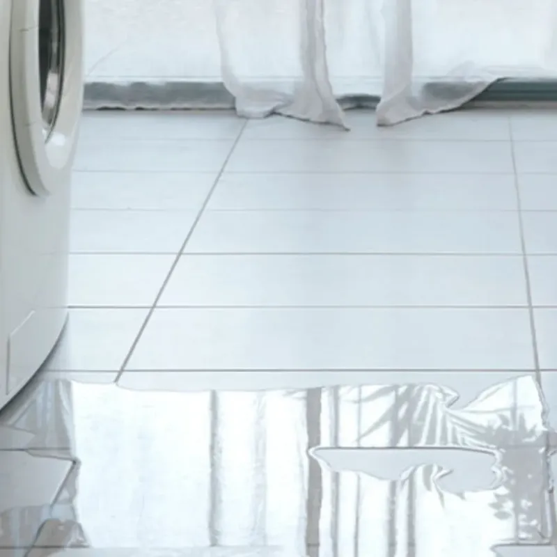 Appliance Leak Cleanup in Albion, PA