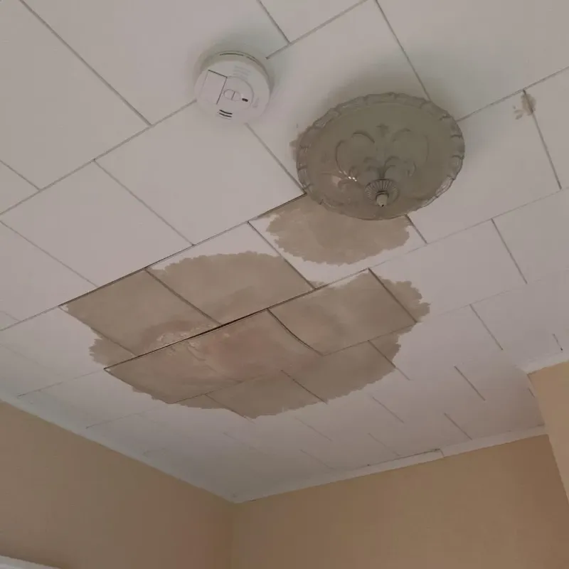 Ceiling Water Damage Repair in Albion, PA