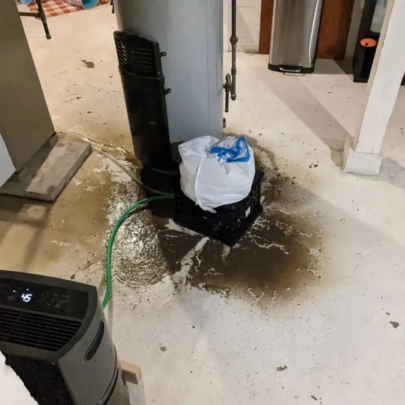 Sewage Backup Cleanup Service in Albion, PA